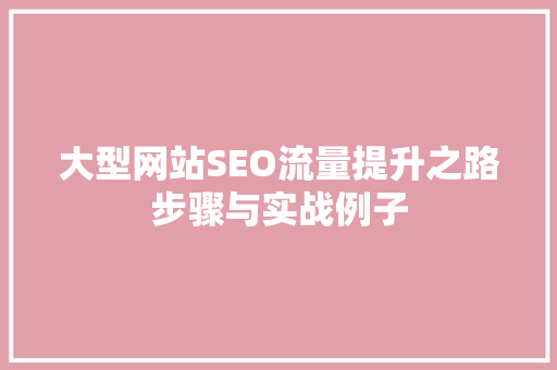大型网站SEO流量提升之路步骤与实战例子