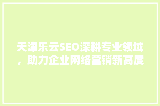 天津乐云SEO深耕专业领域，助力企业网络营销新高度