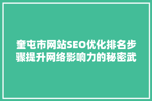 奎屯市网站SEO优化排名步骤提升网络影响力的秘密武器