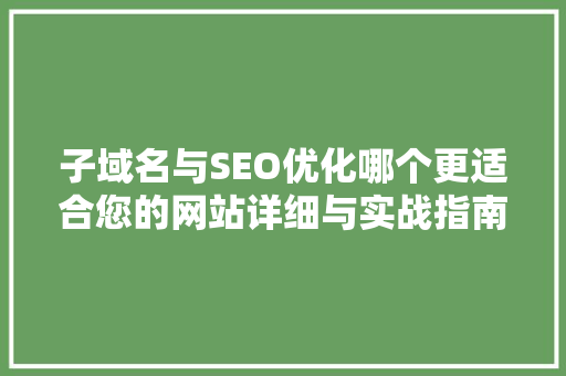 子域名与SEO优化哪个更适合您的网站详细与实战指南