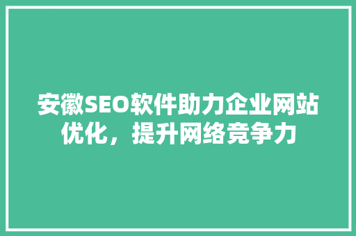 安徽SEO软件助力企业网站优化，提升网络竞争力