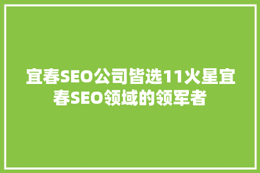 宜春SEO公司皆选11火星宜春SEO领域的领军者