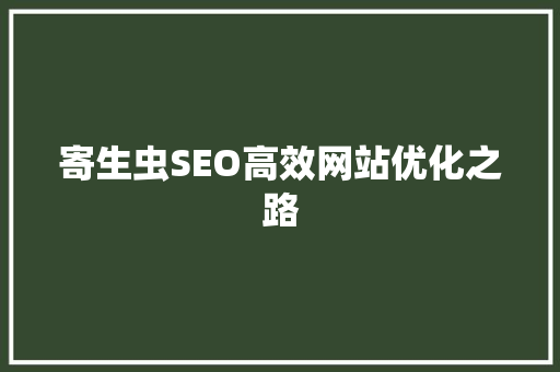 寄生虫SEO高效网站优化之路
