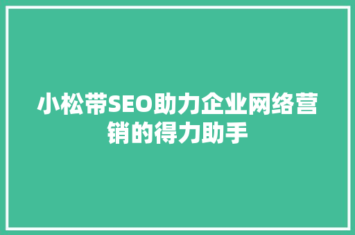 小松带SEO助力企业网络营销的得力助手
