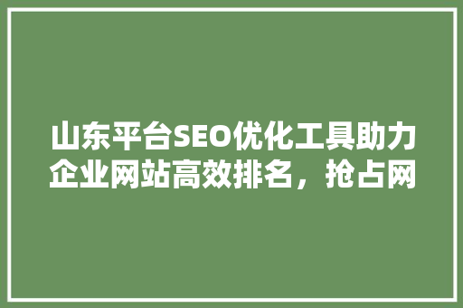 山东平台SEO优化工具助力企业网站高效排名，抢占网络市场先机  第1张