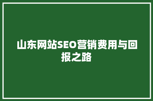 山东网站SEO营销费用与回报之路