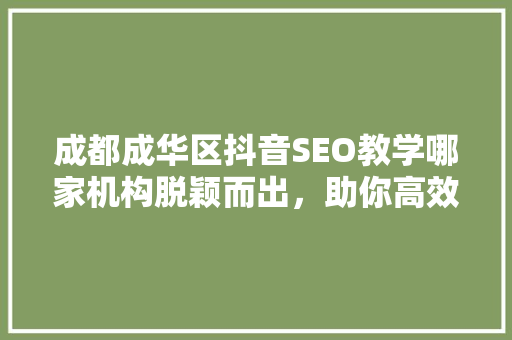 成都成华区抖音SEO教学哪家机构脱颖而出，助你高效吸粉