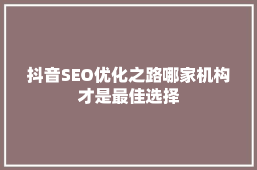 抖音SEO优化之路哪家机构才是最佳选择