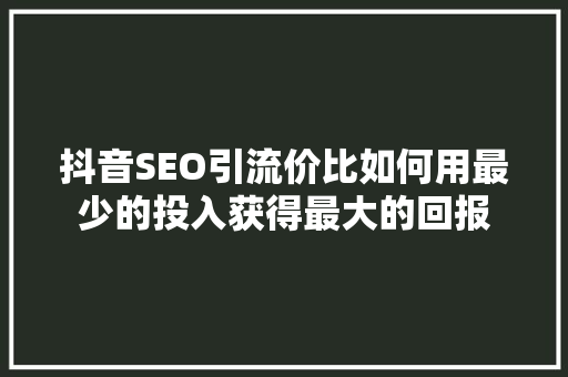 抖音SEO引流价比如何用最少的投入获得最大的回报