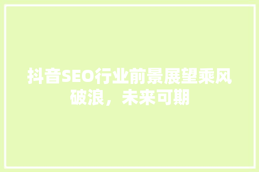 抖音SEO行业前景展望乘风破浪，未来可期  第1张