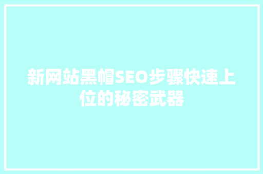 新网站黑帽SEO步骤快速上位的秘密武器