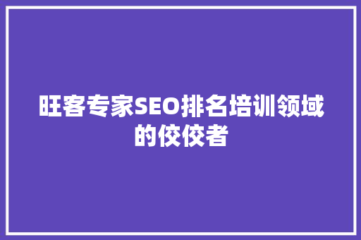 旺客专家SEO排名培训领域的佼佼者  第1张