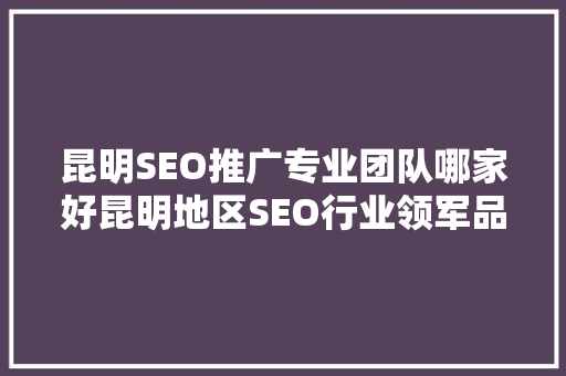 昆明SEO推广专业团队哪家好昆明地区SEO行业领军品牌