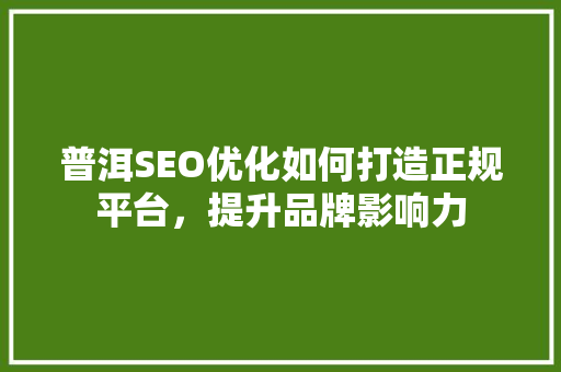 普洱SEO优化如何打造正规平台，提升品牌影响力