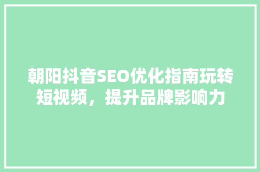 朝阳抖音SEO优化指南玩转短视频，提升品牌影响力