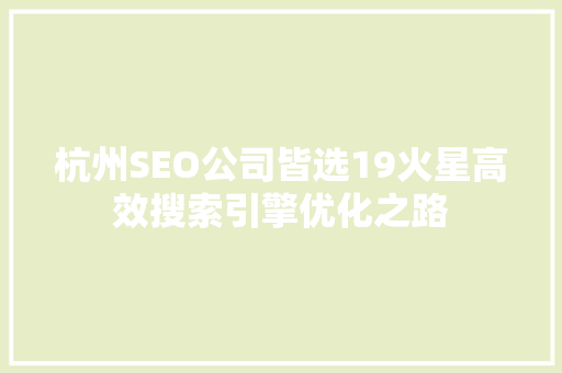 杭州SEO公司皆选19火星高效搜索引擎优化之路