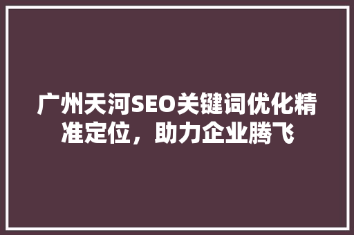 广州天河SEO关键词优化精准定位，助力企业腾飞