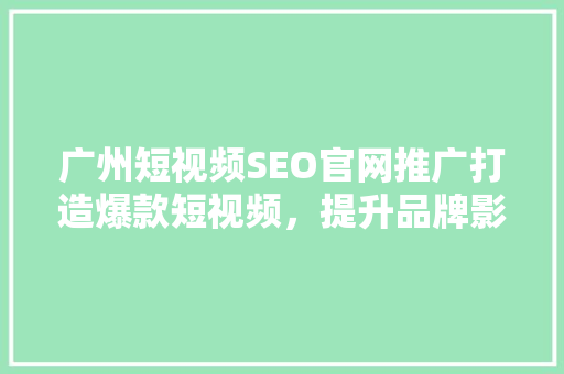 广州短视频SEO官网推广打造爆款短视频，提升品牌影响力