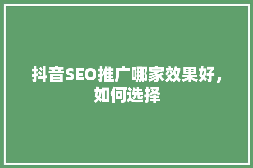 抖音SEO推广哪家效果好，如何选择