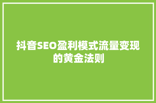 抖音SEO盈利模式流量变现的黄金法则