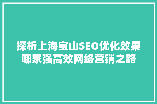 探析上海宝山SEO优化效果哪家强高效网络营销之路