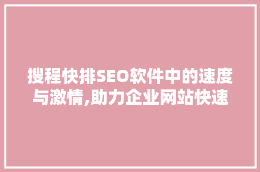 搜程快排SEO软件中的速度与激情,助力企业网站快速崛起