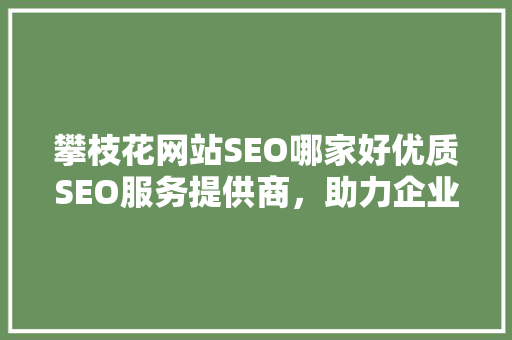 攀枝花网站SEO哪家好优质SEO服务提供商，助力企业腾飞