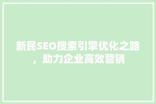 新民SEO搜索引擎优化之路，助力企业高效营销