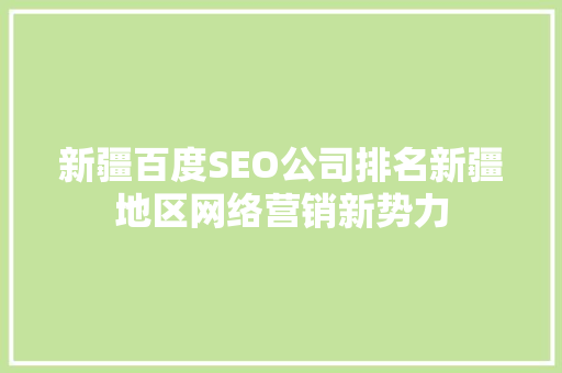 新疆百度SEO公司排名新疆地区网络营销新势力