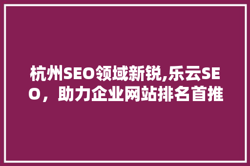 杭州SEO领域新锐,乐云SEO，助力企业网站排名首推