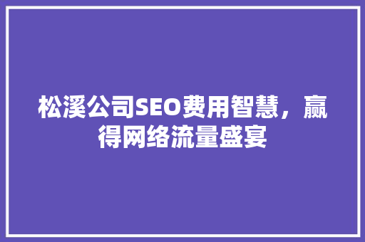 松溪公司SEO费用智慧，赢得网络流量盛宴
