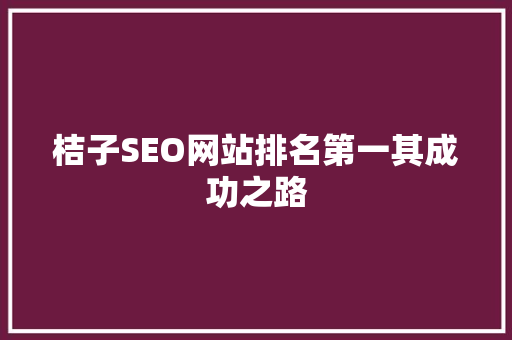 桔子SEO网站排名第一其成功之路
