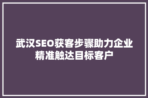 武汉SEO获客步骤助力企业精准触达目标客户