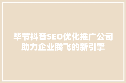 毕节抖音SEO优化推广公司助力企业腾飞的新引擎