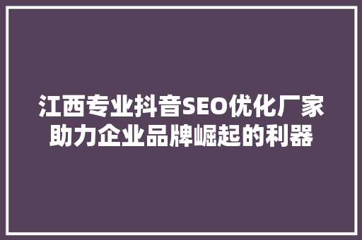 江西专业抖音SEO优化厂家助力企业品牌崛起的利器