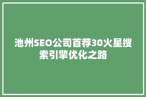 池州SEO公司首荐30火星搜索引擎优化之路