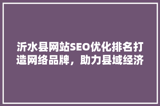 沂水县网站SEO优化排名打造网络品牌，助力县域经济发展