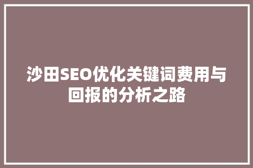 沙田SEO优化关键词费用与回报的分析之路