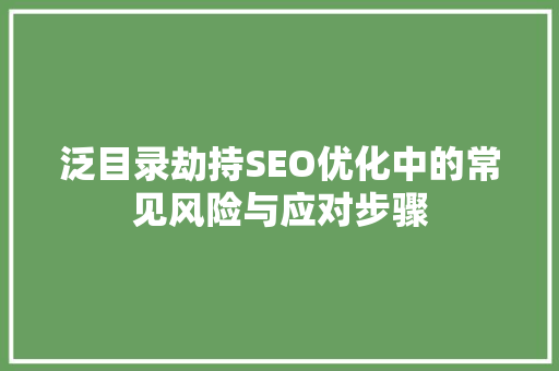 泛目录劫持SEO优化中的常见风险与应对步骤
