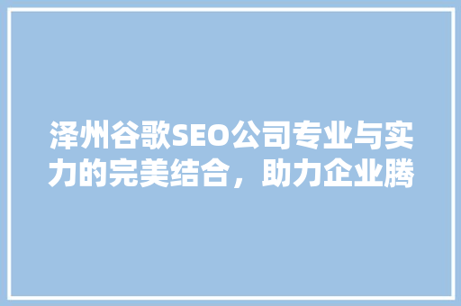 泽州谷歌SEO公司专业与实力的完美结合，助力企业腾飞  第1张