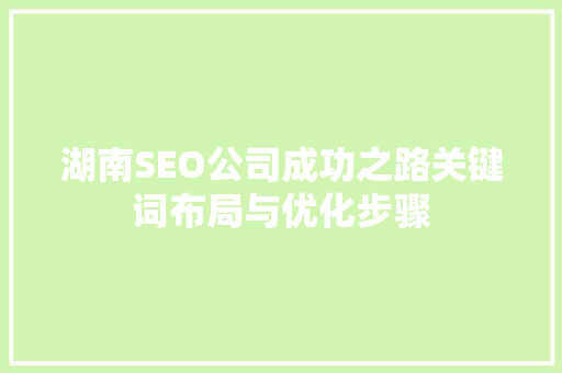 湖南SEO公司成功之路关键词布局与优化步骤