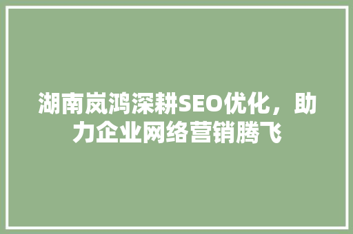 湖南岚鸿深耕SEO优化，助力企业网络营销腾飞