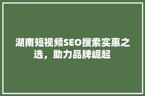 湖南短视频SEO搜索实惠之选，助力品牌崛起