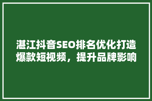 湛江抖音SEO排名优化打造爆款短视频，提升品牌影响力