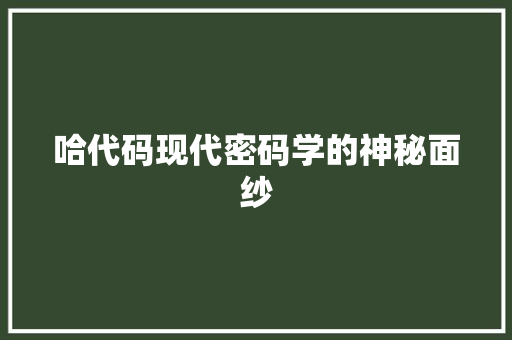 哈代码现代密码学的神秘面纱