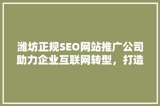 潍坊正规SEO网站推广公司助力企业互联网转型，打造高效网络营销步骤