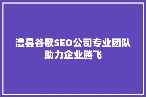 澧县谷歌SEO公司专业团队助力企业腾飞  第1张