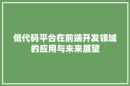 低代码平台在前端开发领域的应用与未来展望