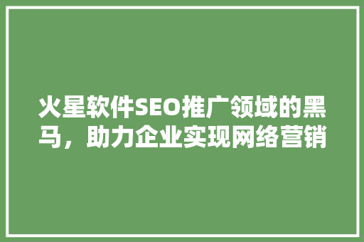 火星软件SEO推广领域的黑马，助力企业实现网络营销新突破