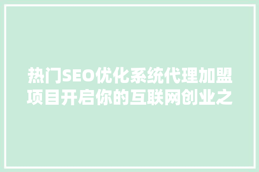 热门SEO优化系统代理加盟项目开启你的互联网创业之旅
